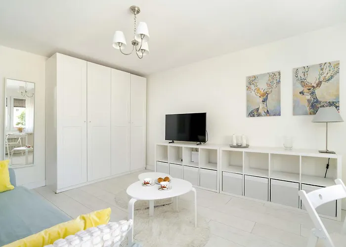 Daire Grochowska Bright With Desk By Renters *